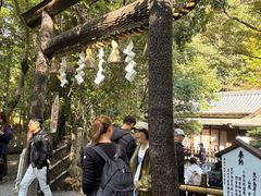 -野宫神社