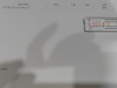 -瑞派名望志远动物医院·猫科·內科·异宠专科(直港大道店)