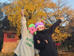 -佛荫寺