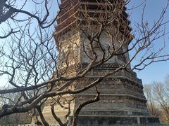-玲珑塔公园