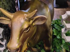 -炊烟小炒黄牛肉(中心印象城店)