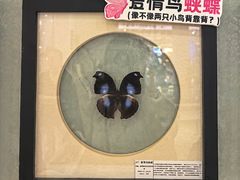 -深圳龙华星河COCO City(民治店)