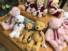 -济州岛泰迪熊博物馆