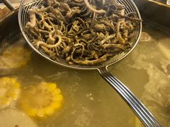 -食潮汕头鲜牛馆(望京保利店)
