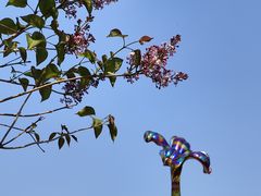 -群力丁香公园