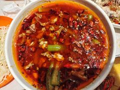 -杨氏青龙虾·羊蝎子(金盛路总店)