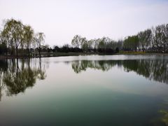 -东郊湿地公园