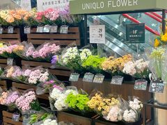 -优衣库(深圳万象天地旗舰店)