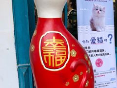 -猫咪博物馆(顶澳仔猫街店)