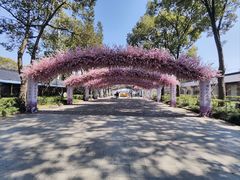 -南汇桃花村