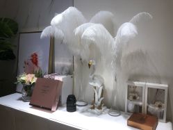 点击看大图 -INNEREAL英妮芮医疗美容