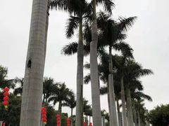 -五通灯塔公园