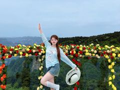 -王莽岭风景区