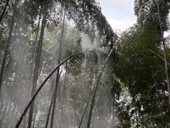 -安吉龙王山风景区