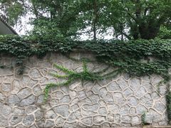 -北京大学-燕南食堂