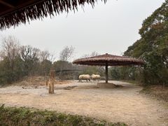 -宁波野生动物园