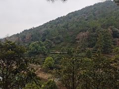 -九龙潭景区