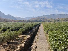 -中国茶叶博物馆(双峰馆区)