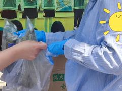 沈大成肉粽子-沈大成(漫乐城店)