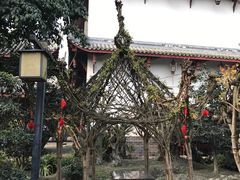 -郫都区农科村景区