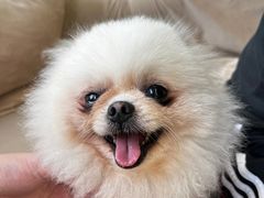 -怪兽屋·羊驼·猫咖·狗咖(俊华广场店)