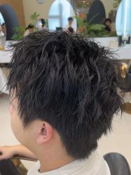 -GANO HAIR 