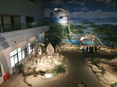 -自贡恐龙博物馆