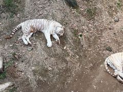 -宁波野生动物园