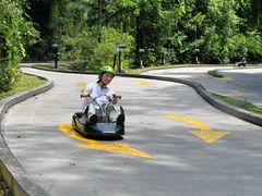 -圣淘沙天际线斜坡滑车