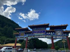 -塞罕坝国家级自然保护区