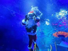 -沈阳海洋探索中心