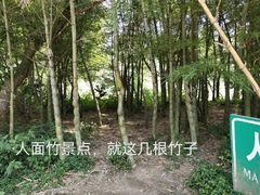 -蜀南竹海景区