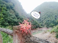-磐安十八涡风景区