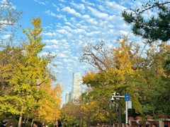 -青岛第二海水浴场