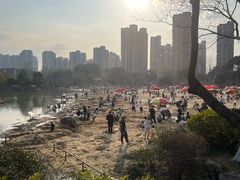 -青枫公园