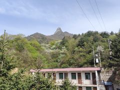 -秦岭风景区