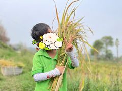 -宾果蒙特梭利托育儿童之家幼儿园(爱琴海店)