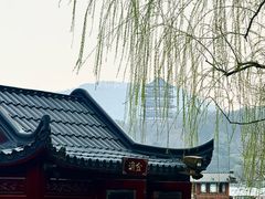 -西湖游船
