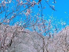 -居庸关长城