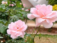 -人民公园(罗湖区)