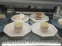-有猫主题·治愈系猫咖(曾厝垵店)