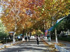 -中央广播电视总台(光华路办公区)