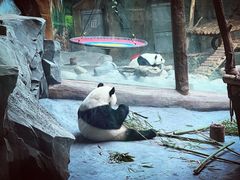 -青藏高原野生动物园