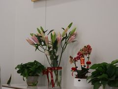 -皓齿连锁·雅贝健口腔·种植·矫正中心(虹口曲阳路店)