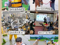 -上海浦江郊野公园·1号停车场