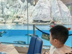 -帝企鹅自助餐厅•儿童岛•真企鹅(长隆企鹅酒店)