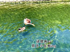 -三里河公园