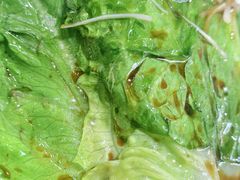 -逢春菜馆天津菜(胜利路店)
