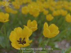 -长春公园(普阳街道)