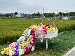 -杭州湾海上花田景区